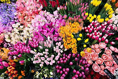 格斗游戏《轩辕剑之斗》、 《大富翁11》、《仙剑客栈2》制作中