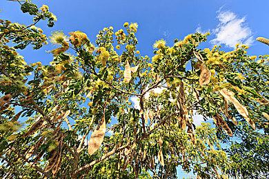 《最终幻想7：重制版》新补丁上线 蒂法胸前加了布料 部分Mod无法使用