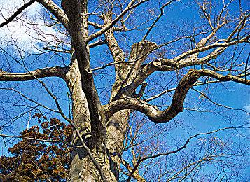 《虚构世界2：坚信之谷（Figment 2: Creed Valley）》 正式发售！